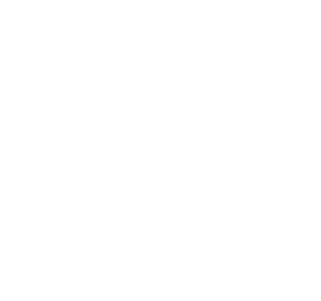Logo Faro